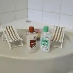 Piscine Chauffee Et Couverte Chalet