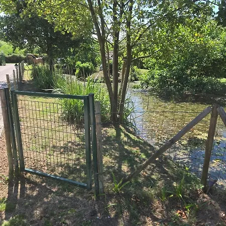 Piscine Chauffee Et Couverte