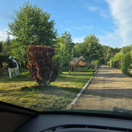 Piscine Chauffee Et Couverte * Brimeux