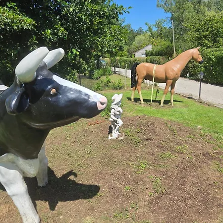 Piscine Chauffee Et Couverte Chalet